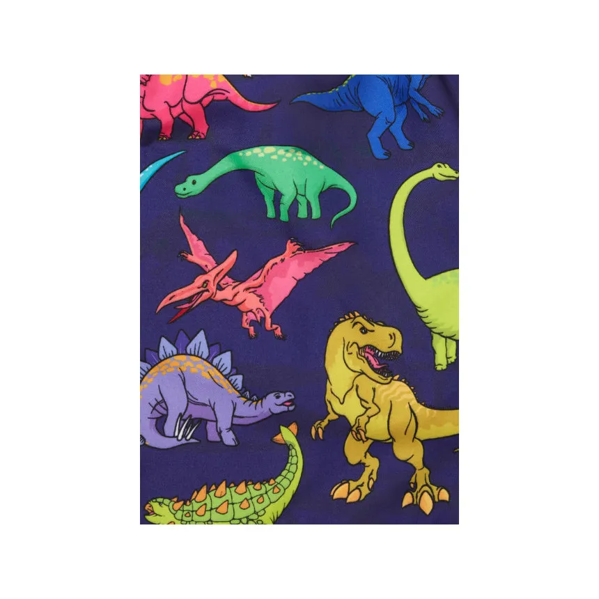 Bañador Boardies Vibrant Dino Para Niños