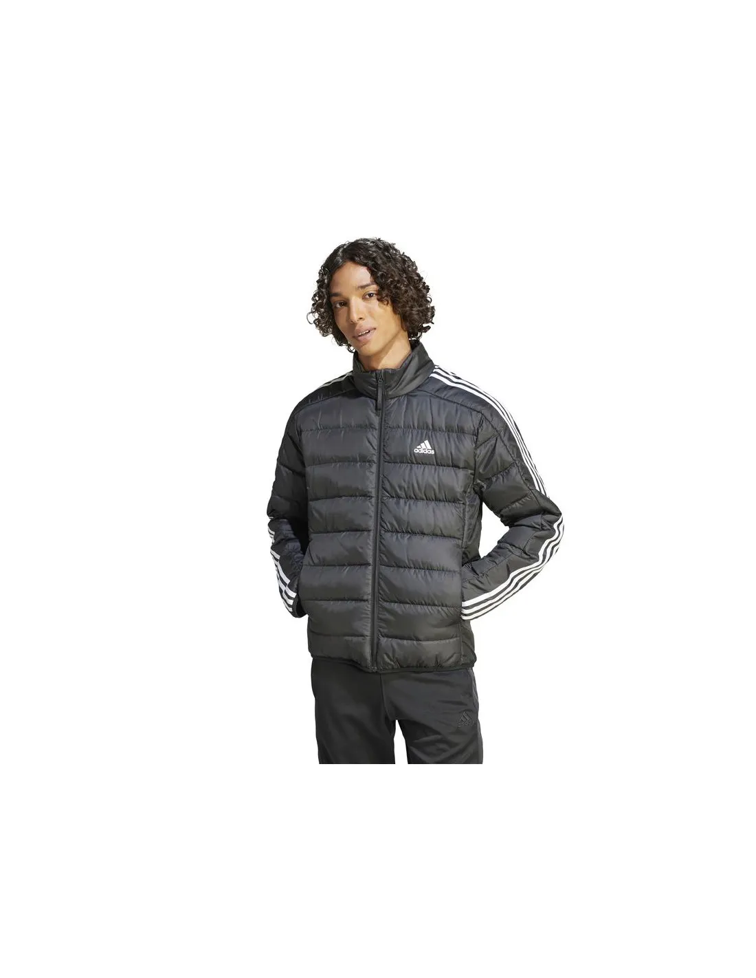 Chaqueta adidas Essentials 3S Lite D Hombre