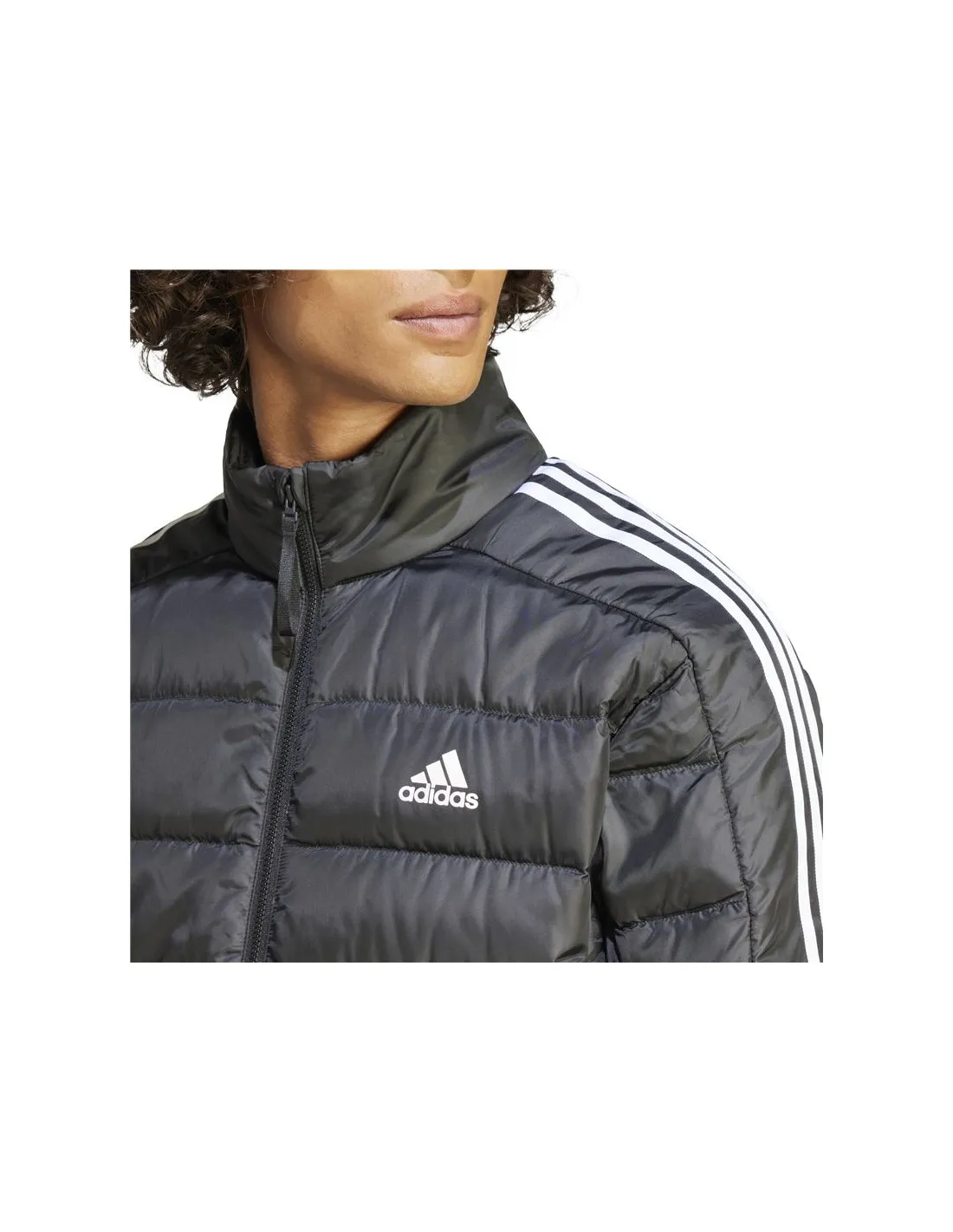 Chaqueta adidas Essentials 3S Lite D Hombre