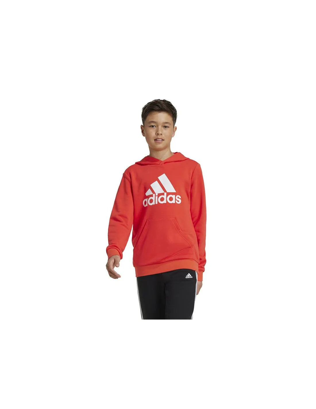 Sudadera adidas Big Logo Essentials Cotton Infantil Rojo