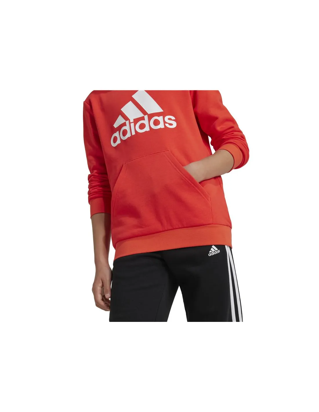 Sudadera adidas Big Logo Essentials Cotton Infantil Rojo